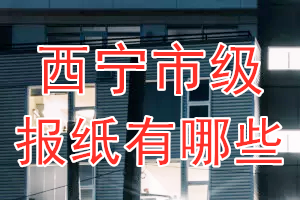 西寧市級報紙有哪些？